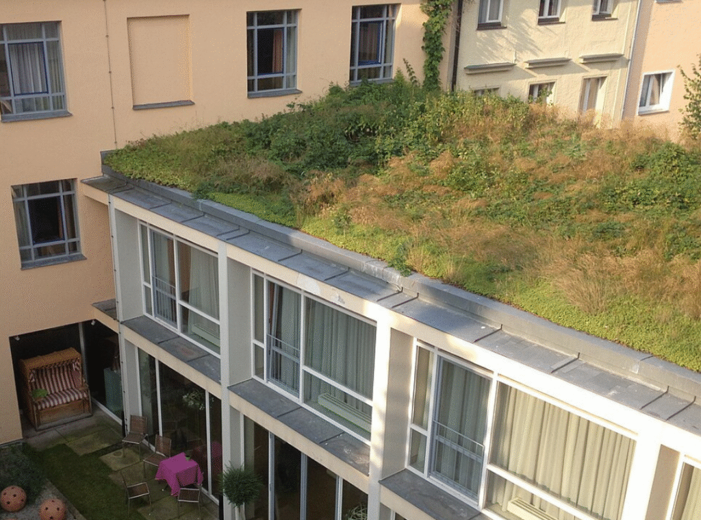 Ein begrüntes Flachdach.