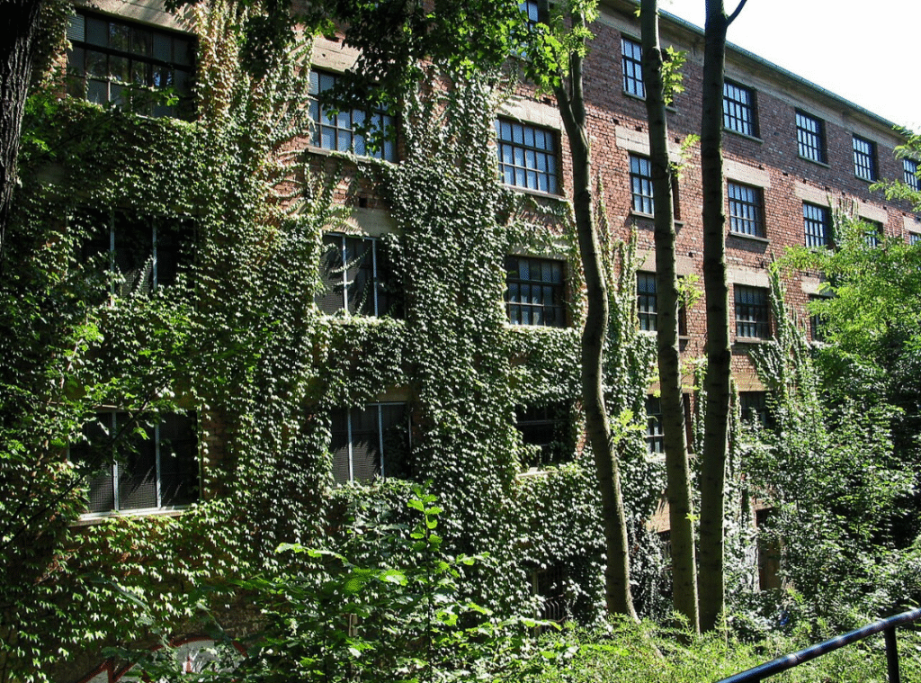Begrünte Fassade in Karlsruhe