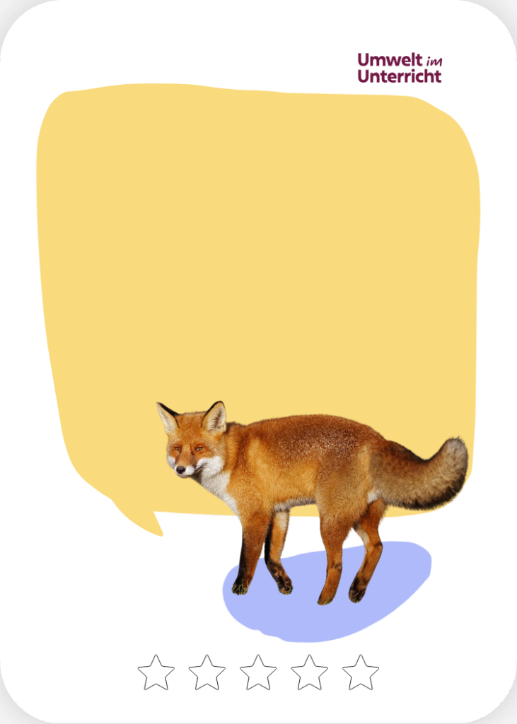 Ein Fuchs mit einer Sprechblase.