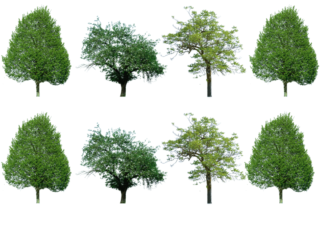 Collage mit Bäumen