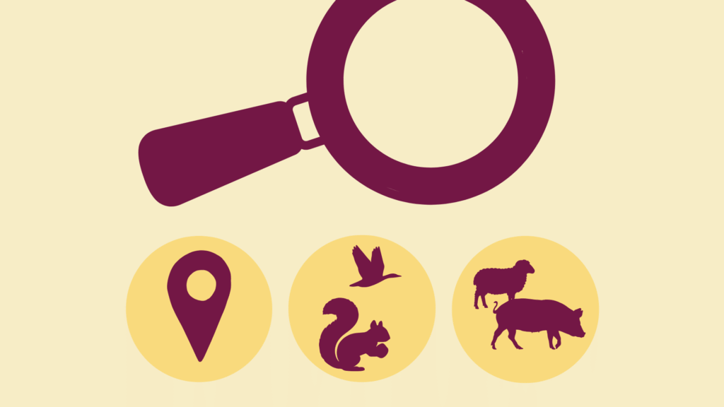 Illustration mit großer Lupe und drei kleinen Icons für Ort, Wildtiere und Nutztiere.