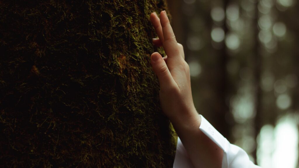 Eine Hand berührt vorsichtig die Rinde eines Baums.