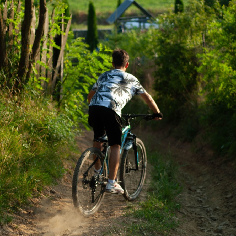 Ein Kind fährt Fahrrad auf einem Waldweg.