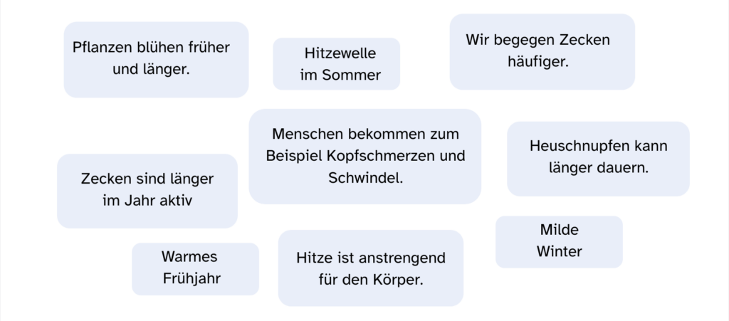 Wortgruppen in Kästen