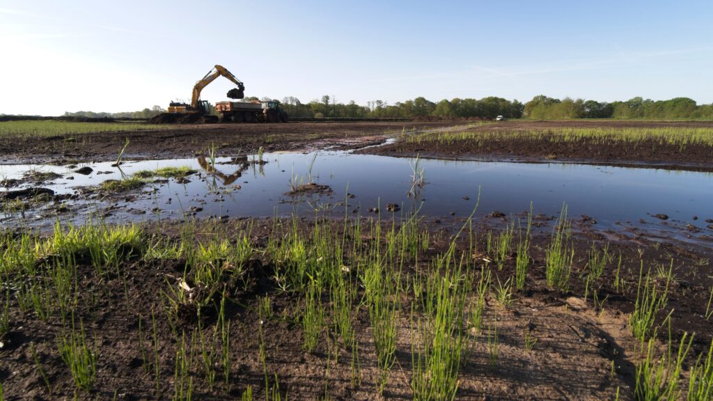 Eine Moorlandschaft mit zarten Gräsern, großer Wasserfläche und Bagger im Hintergrund.